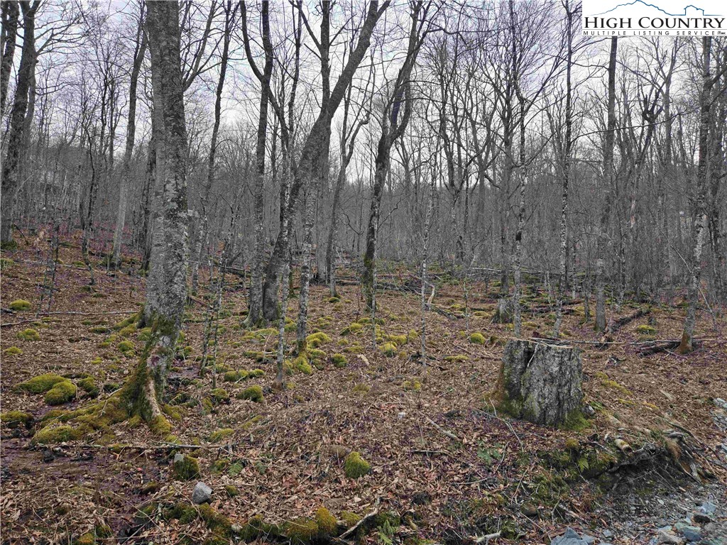 Land in Sugar Mountain 3