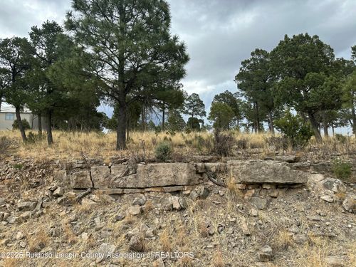 100 Avalon Ct, Ruidoso, NM, 88345 | Card Image