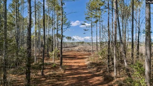 0 Shiloh Rd, Saluda, SC, 29138 | Card Image