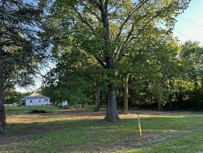 View of yard | Image 1