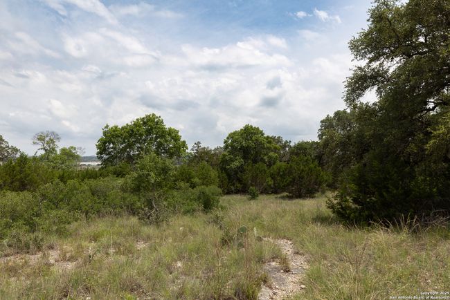 161 Puzzle Pass, Home with 0 bedrooms, 0 bathrooms and null parking in Spring Branch TX | Image 14