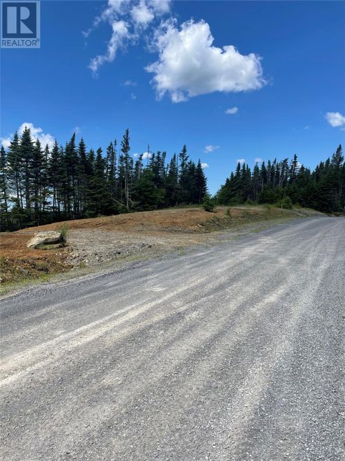 154 Prison Camp Road, Salmonier, NL, A0A0A0 | Card Image