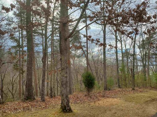 LOT 223 Ridge View Dr, Savannah, TN, 38372 | Card Image