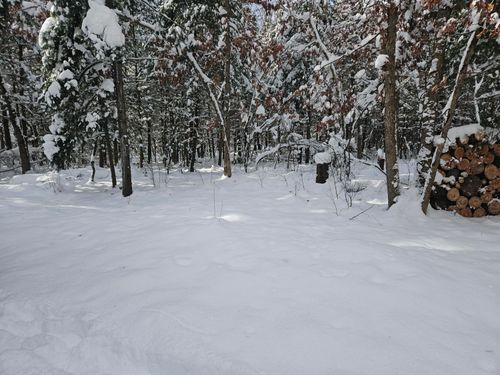 7106 N M 37, Irons, MI, 49644 | Card Image