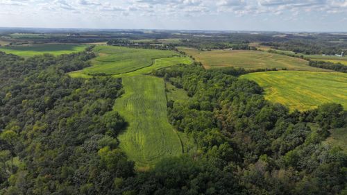 xxx State Hwy 43, Mabel, MN, 55954 | Card Image