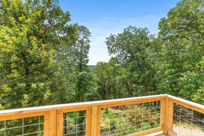 Briggs-18 | Image 21