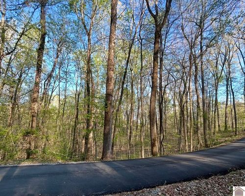 Lot 14E Commerce Landing Rd., Eddyville, KY, 42038 | Card Image