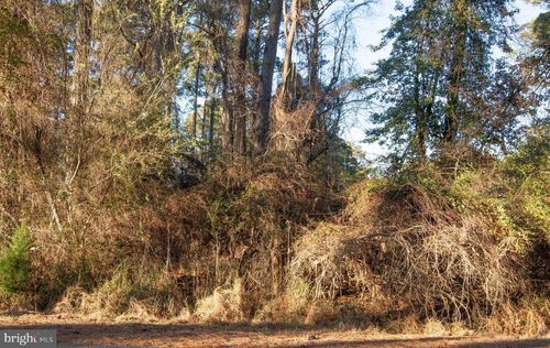 Lot 1098 Amidship Dr, GREENBACKVILLE, VA, 23356 | Card Image