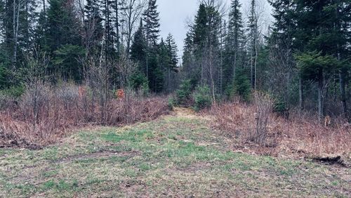 0 Standish Rd, Saranac, NY, 12981 | Card Image