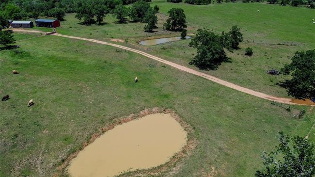 1197 Private Road 2071, Home with 4 bedrooms, 3 bathrooms and null parking in Giddings TX | Image 12
