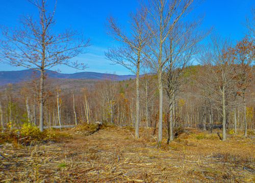 13 Mine Road, Stoneham, ME, 04231 | Card Image