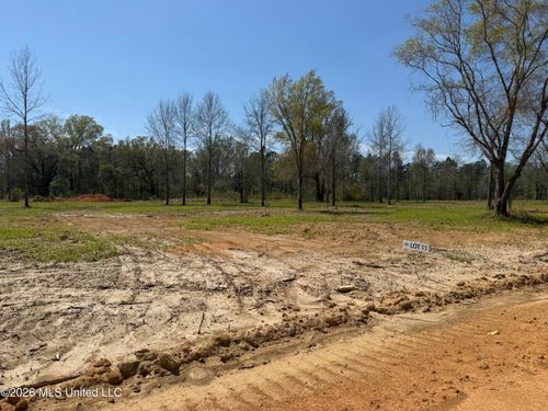 Lot 11 Oakley Lane, Lucedale, MS, 39452 | Card Image