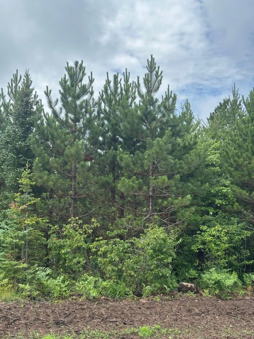 1081-west-ON Spring Creek Rd, Rhinelander, WI, 54501 | Card Image