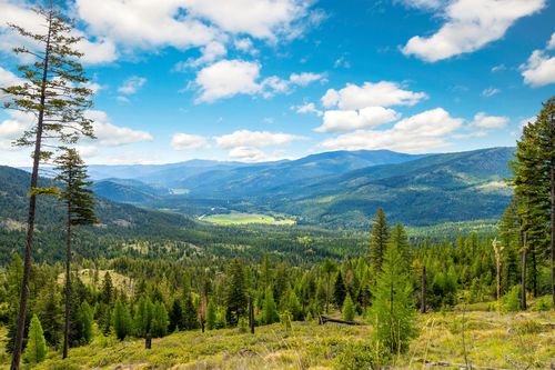 Nhn Idaho Hill Rd, Marion, MT, 59925 | Card Image