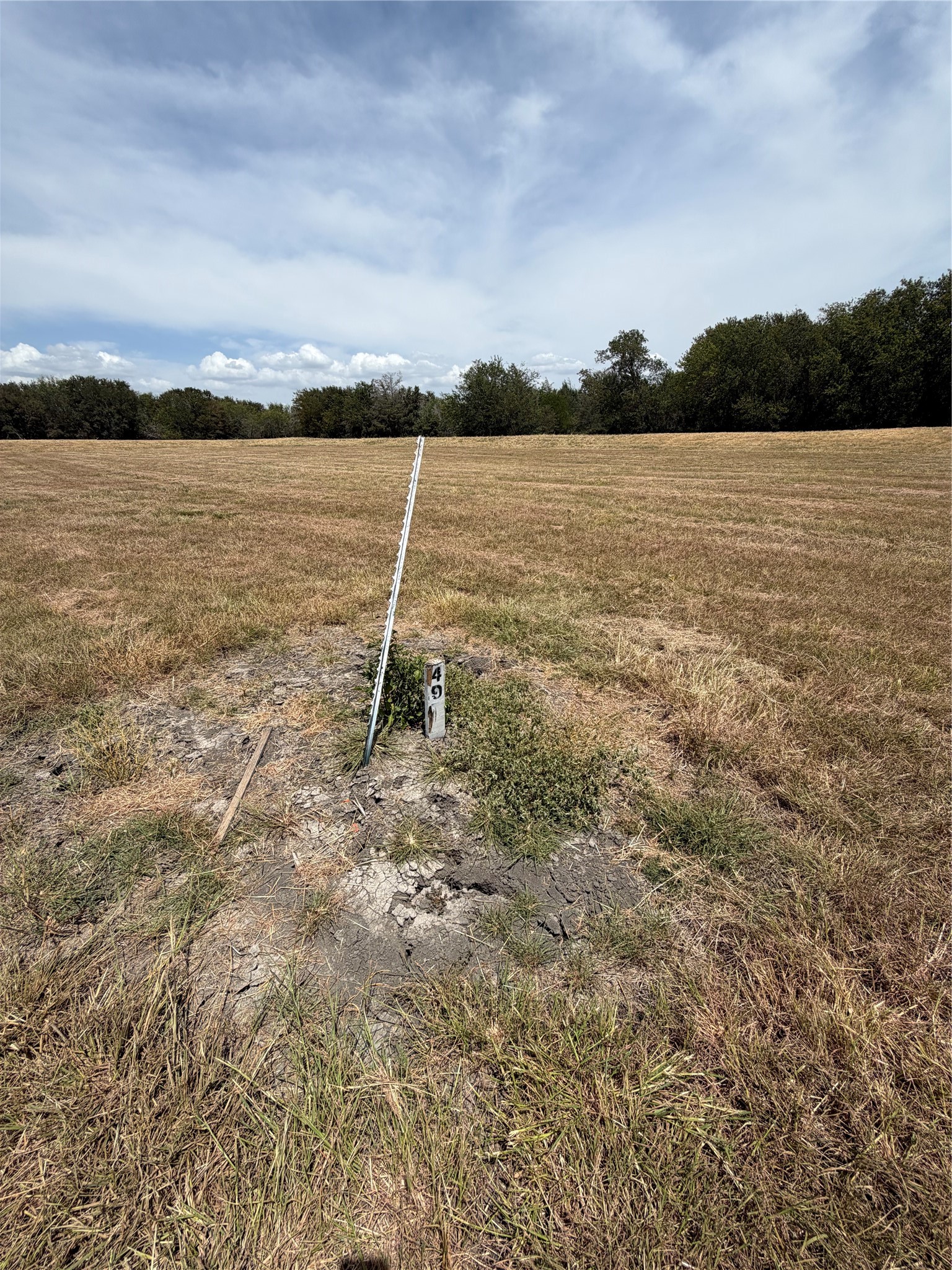 Land in Corsicana 4