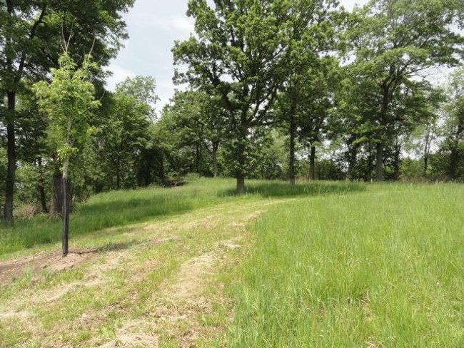 Lot 3 County Road Y, Home with 0 bedrooms, 0 bathrooms and null parking in Viroqua WI | Image 57