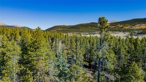 235 Willow Ln, ALMA, CO, 80420 | Card Image