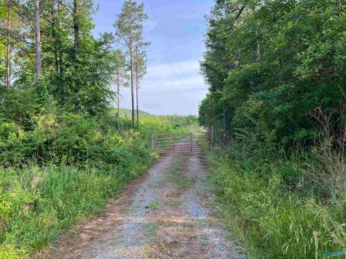 +/-67 Acres County Road 635, Gaylesville, AL, 35973 | Card Image