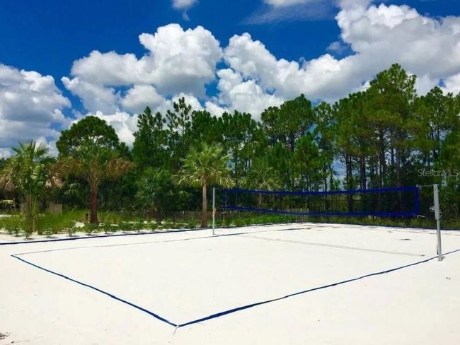 Volleyball | Image 49
