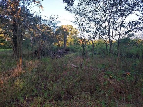 2018 County Road 4009, New Boston, TX, 75570-5447 | Card Image