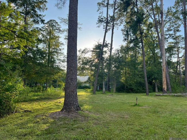 21750 Rosemound Ln, House other with 2 bedrooms, 2 bathrooms and 4 parking in Springfield LA | Image 11