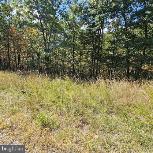 Lot 21 Mound Builder Loop, HEDGESVILLE, WV, 25427-7418 | Card Image