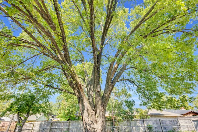 1405 Hillside Dr, House other with 3 bedrooms, 2 bathrooms and null parking in Midlothian TX | Image 8