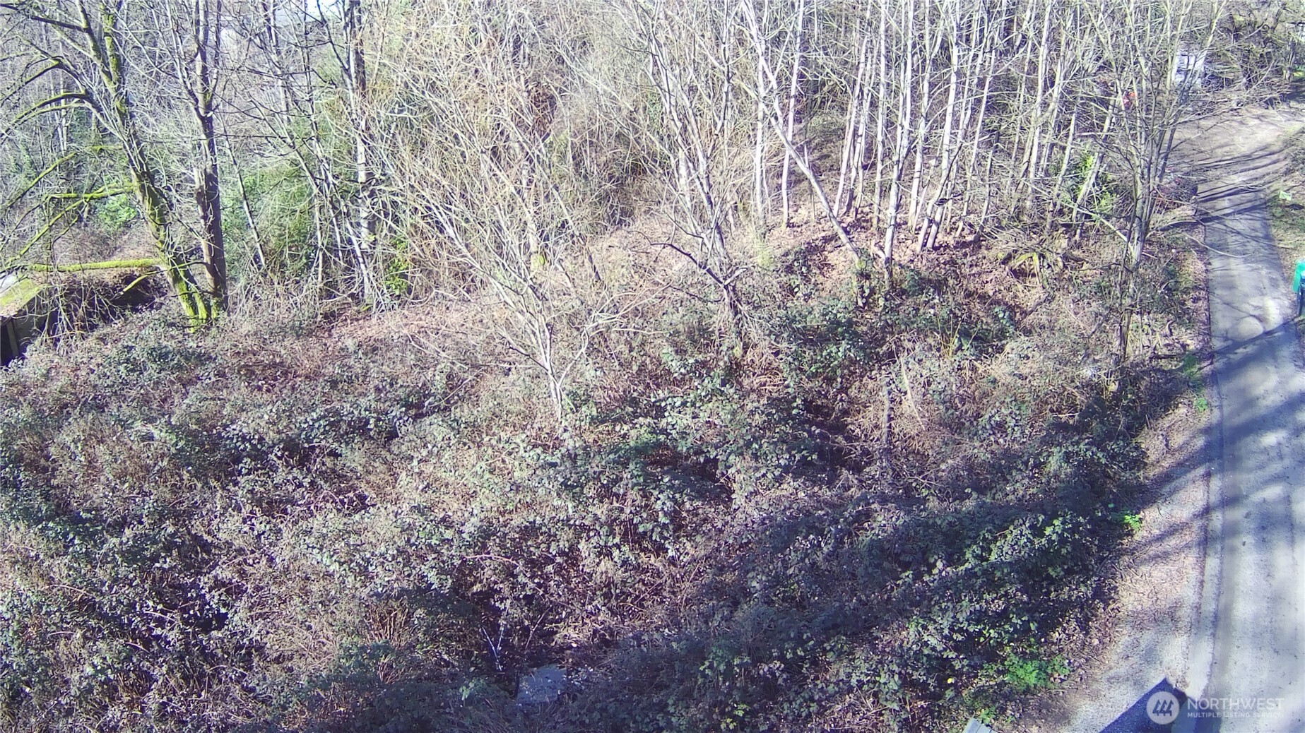 Land in Seattle 2