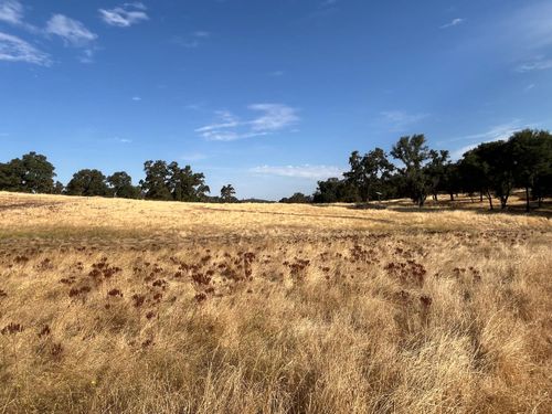 29600 Mccourtney Rd, Wheatland, CA, 95692 | Card Image