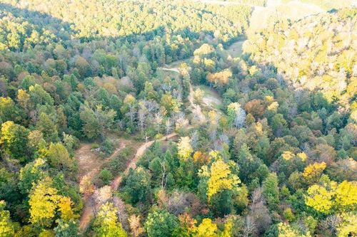 110 Acres Land Fleming Fork, Olive Hill, KY, 41164 | Card Image