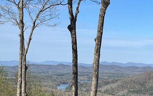 lot 118 Croft Mountain Rd, Blairsville, GA, 30512 | Card Image