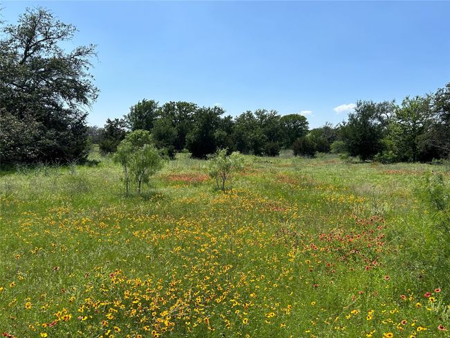 341 Fm 574 W, House other with 5 bedrooms, 3 bathrooms and null parking in Goldthwaite TX | Image 13