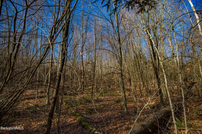 0 Goose Pond Rd, Home with 0 bedrooms, 0 bathrooms and null parking in Tyringham MA | Image 12