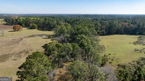 0 Lost Rd, Arabi, GA, 31712 | Card Image