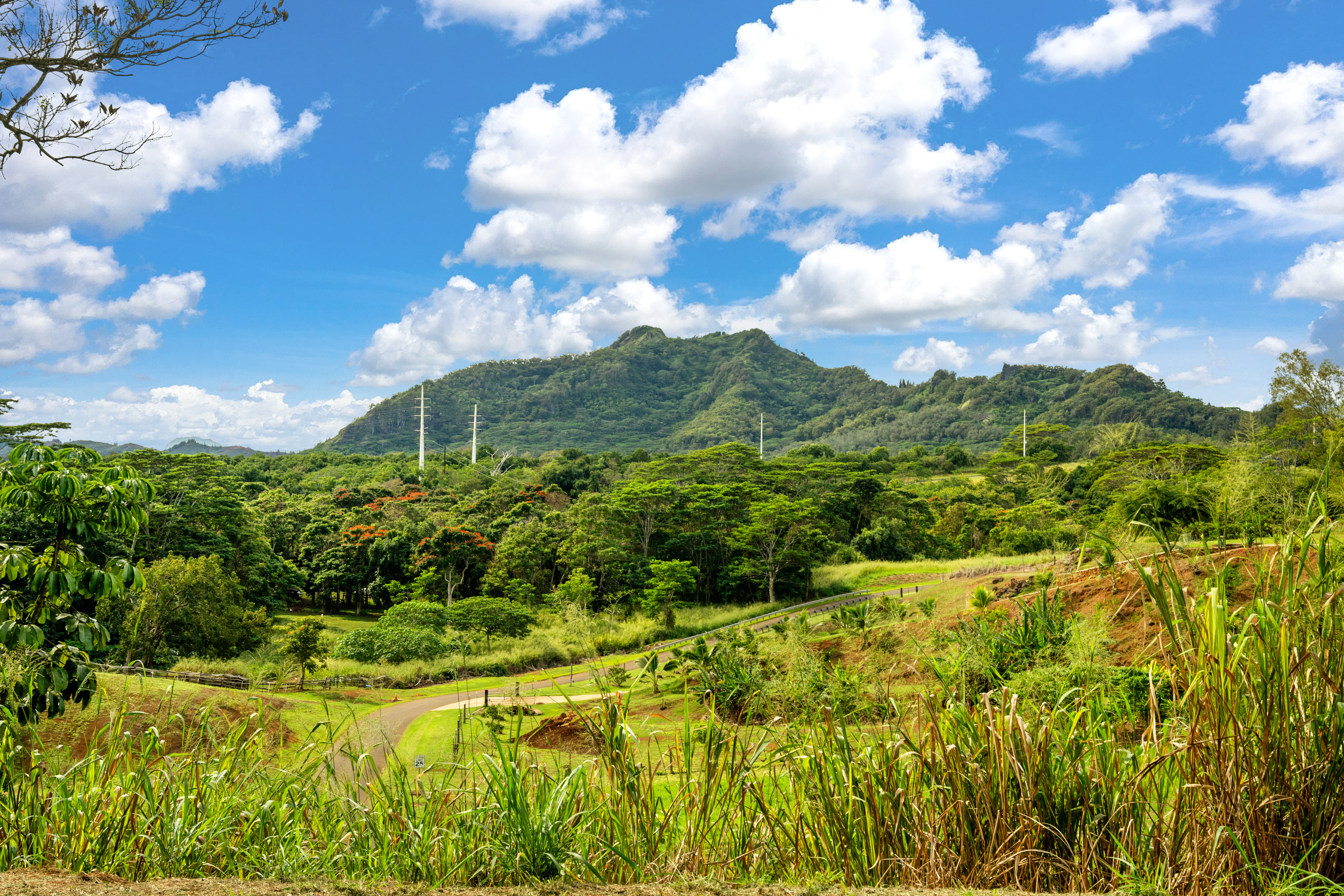 Land in Kapaa