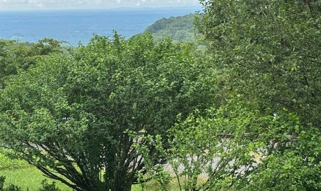 130 Heavenly View Ln, House other with 1 bedrooms, 1 bathrooms and 1 parking in Fancy Gap VA | Image 4