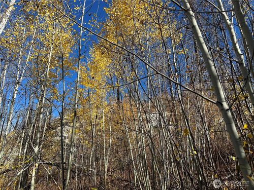 0 Evans Ranch Rd, Riverside, WA, 98849 | Card Image