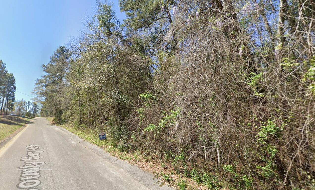 Land in New Ellenton 2