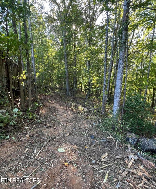 822 W Bates St, Home with 0 bedrooms, 0 bathrooms and null parking in Rockwood TN | Image 8