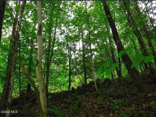 0 Goodman Rd, Fort Ann, NY, 12827 | Card Image