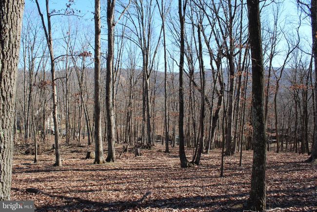 141 Hillcrest Dr, Home with 0 bedrooms, 0 bathrooms and null parking in New Creek WV | Image 16
