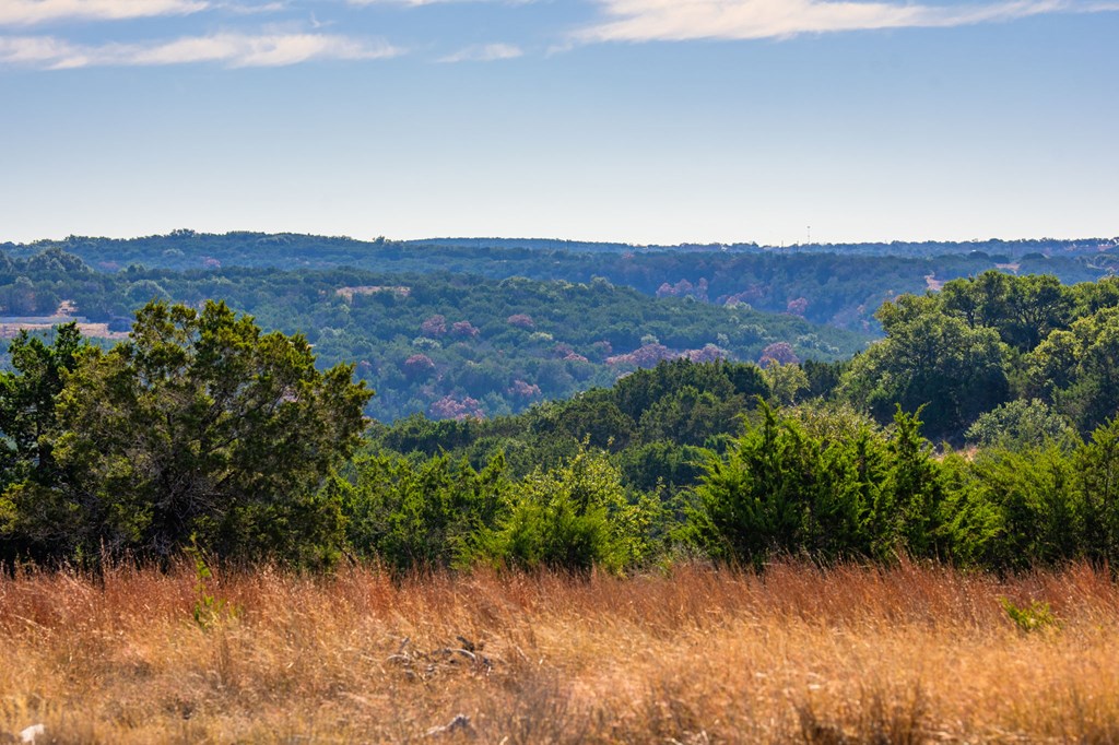 Land in Kerrville 2