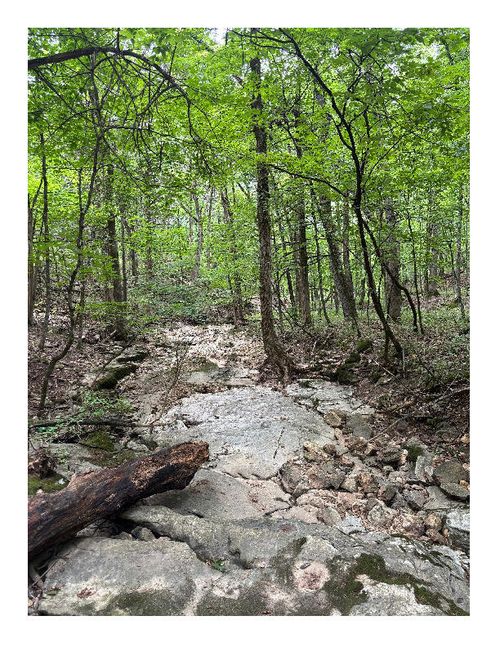 TBD Hagans Rd, ASHLAND, MO, 65010 | Card Image