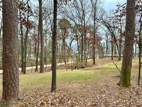 N/A Lot 59 County Road 2938, Pittsburg, TX, 75686 | Card Image