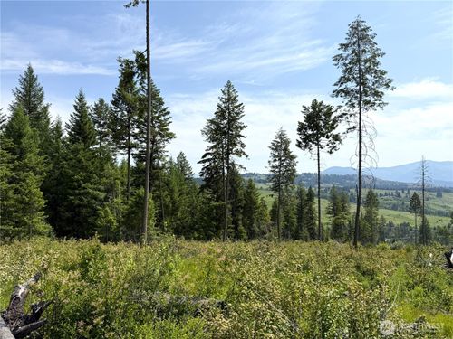 0 Lot 3 Rockabye Ln, Curlew, WA, 99118 | Card Image