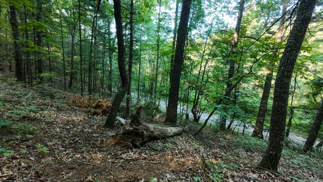 Parcel 2-19 | Image 8