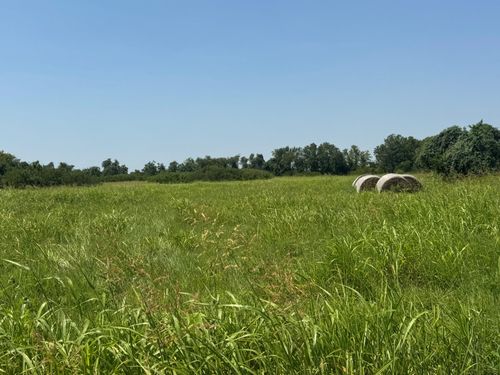 TBD County Road 230, Glen Flora, TX, 77443 | Card Image