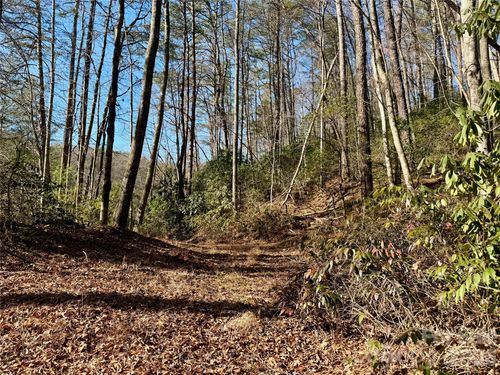 35-36-37-lots 35, 36 & 37 Fox Den Road, Brevard, NC, 28712 | Card Image