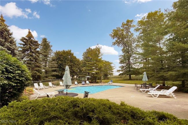 The outdoor pool is a heavenly spot to soak in the sunshine! | Image 38