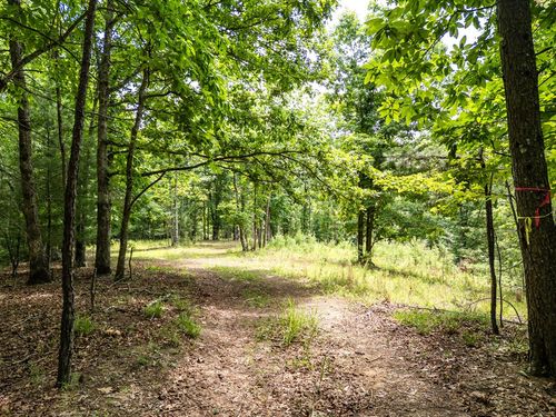 Lt 2 Stormy Ridge, Brasstown, NC, 28902 | Card Image